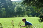 Spielwiese © A10/Pfister Spielwiese © A10/Pfister